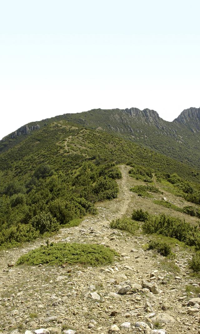 Ruta cercana